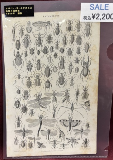 オリバー・ゴールドスミス 「地球と自然史」昆虫 - アートハーベスト