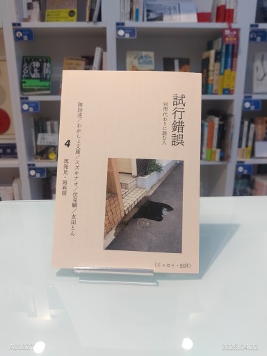 試行錯誤4（別冊代わりに読む人） - 友田とんの本棚