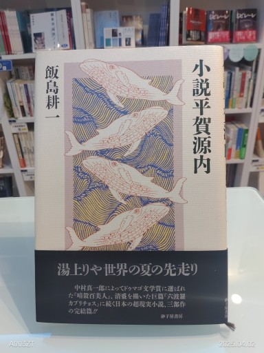 小説平賀源内 - 澤田直の本棚