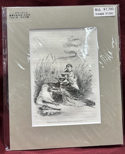 J.J.グランヴィル 「動物の私生活・公生活」 ⑤ - アートハーベスト