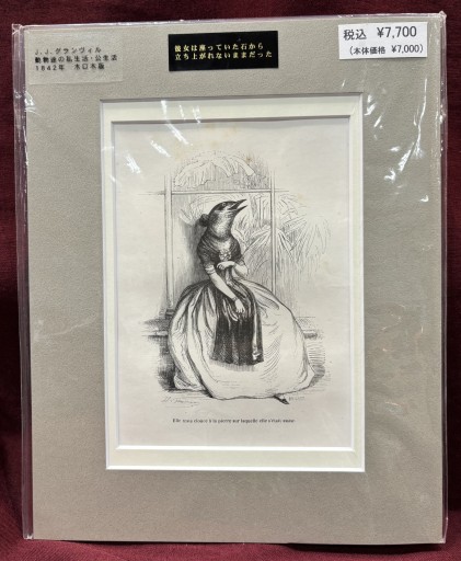 J.J.グランヴィル 「動物の私生活・公生活」④ - アートハーベスト