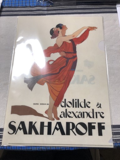 サカロフ夫妻 - 岸リューリSOLIDA書店