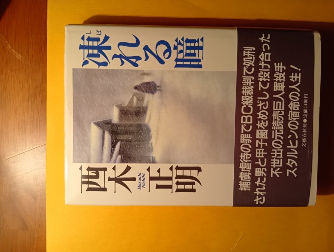 凍れる瞳 - Big-books