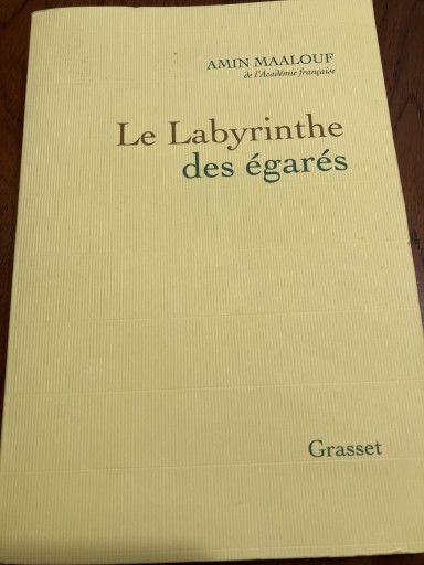 Le labyrinthe des égarés: L'Occident et ses adversaires - Iter Vitae