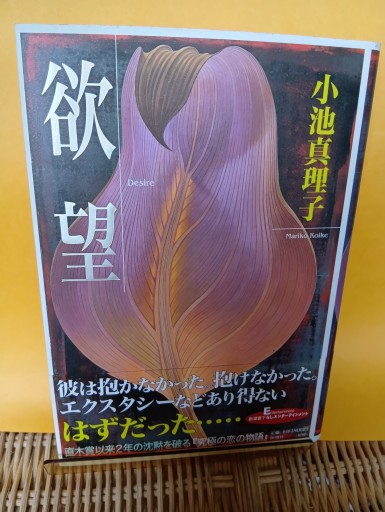 欲望 - Big-books
