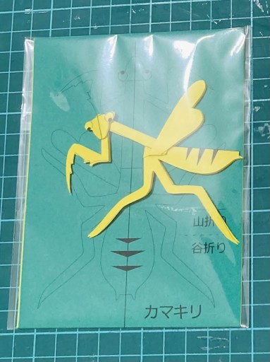 立体切り折り紙キット(カマキリ) - あかぷりん