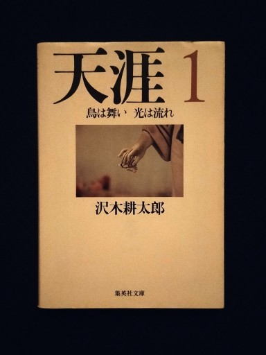 天涯 1 鳥は舞い 光は流れ - 佐竹南風(アナザー・スズキ)