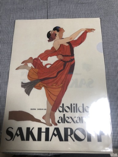 クリアファイル サカロフ夫妻 - 岸リューリ（RIVE GAUCHE店）