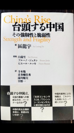 台頭する中国: その強靭性と脆弱性 - 山崎 精一と仲間たち