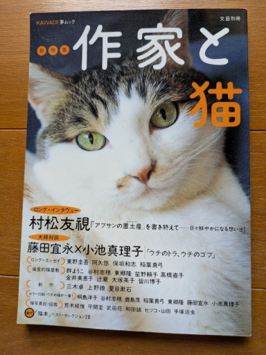 KAWADE夢ムック 特集・作家と猫 - ギャラリーえん 66books