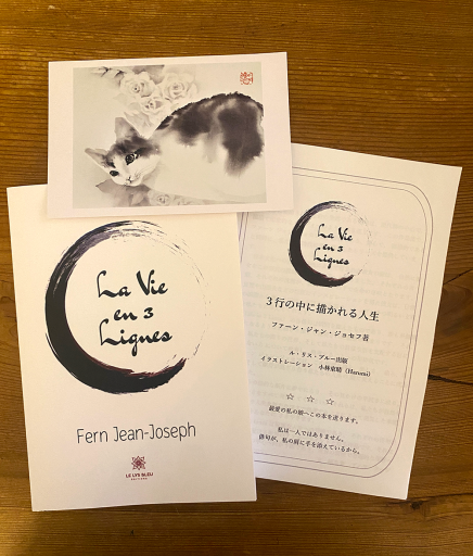 La Vie en 3 Lignes - moco no haco