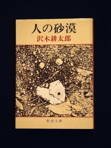 人の砂漠 - 佐竹南風(アナザー・スズキ)