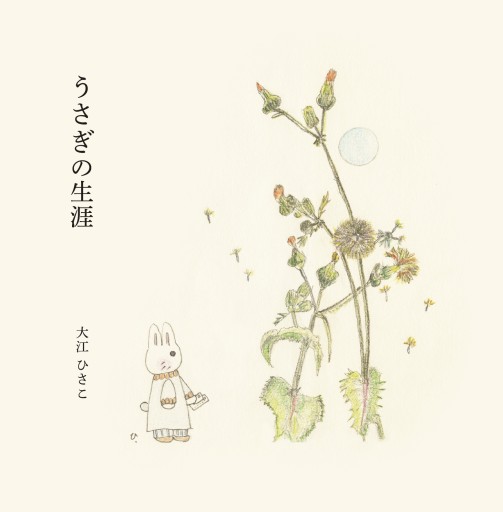 うさぎの生涯 - 本屋マントうさぎ