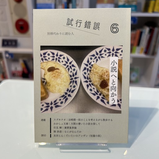 試行錯誤6（小説へと向かう） - 友田とんの本棚