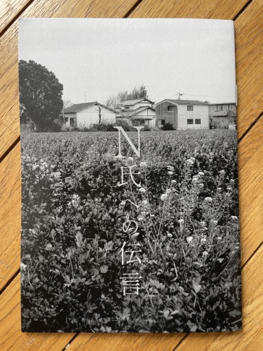 N氏への伝言  細川文昌 - 長岡白和と細川文昌の本棚