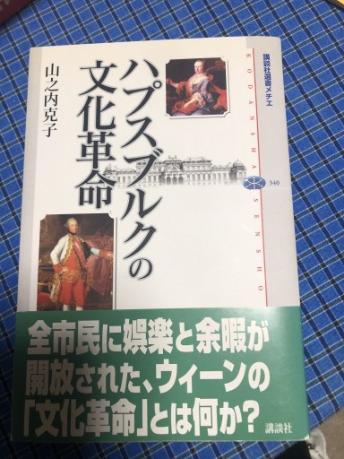 ハプスブルクの文化革命（講談社選書メチエ 340） - 岸リューリSOLIDA書店