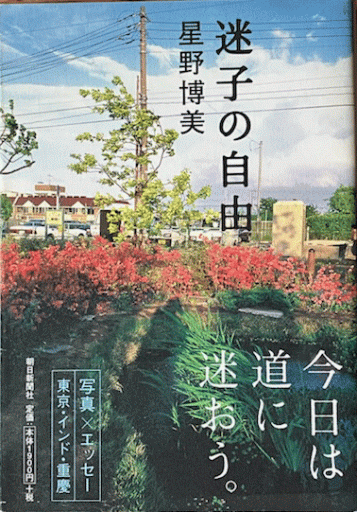 迷子の自由 - 編集者の本棚