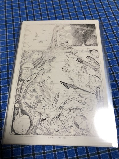 アンドロメダ - 岸リューリ