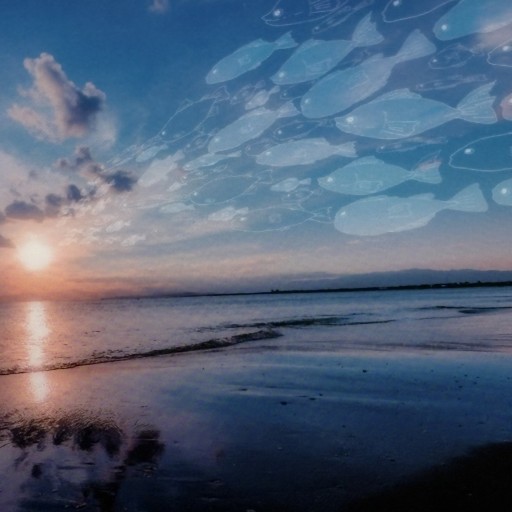 シアーポストカードC（封筒付） - papier®︎ RIVE GAUCHE