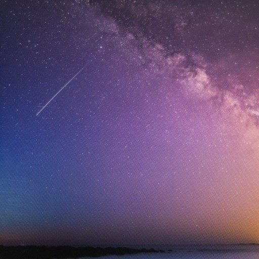 シアーポストカードD（封筒付） - papier®︎ RIVE GAUCHE