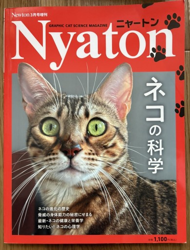 Nyaton ニャートン Newton3月号増刊 - KOT vivi KOT書房