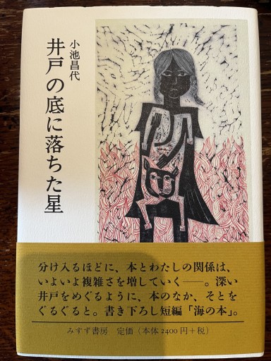 井戸の底に落ちた星 - 小池昌代の本棚