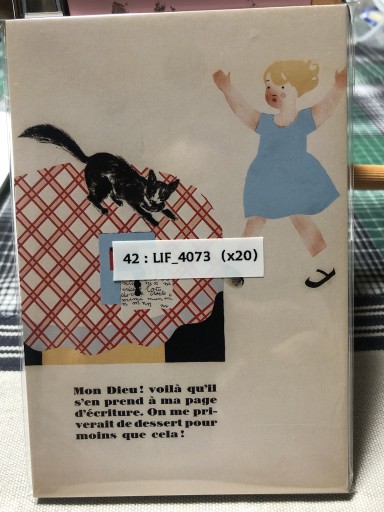 42：LIF_4073 パラン 私のネコ - 岸リューリSOLIDA書店