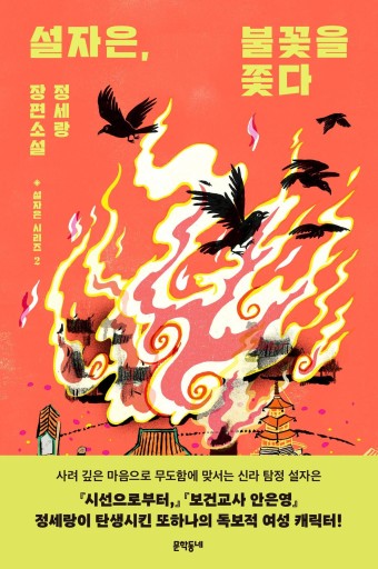 설자은, 불꽃을 쫓다／ソル・ジャウン、炎を追う〈韓国語書籍〉 - books from ( seoul ).