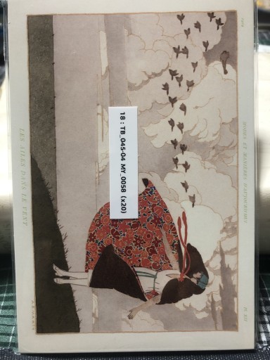 18: TB_045-04 MY_0058 マルティ 風 - 岸リューリSOLIDA書店