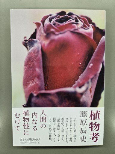 植物考 - カンデライオ