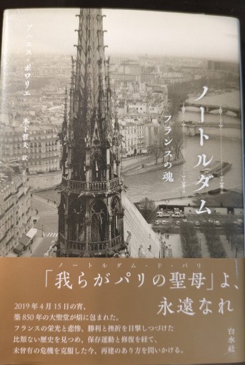 ノートルダム:フランスの魂 - 澤田直の本棚（RIVE GAUCHE店）