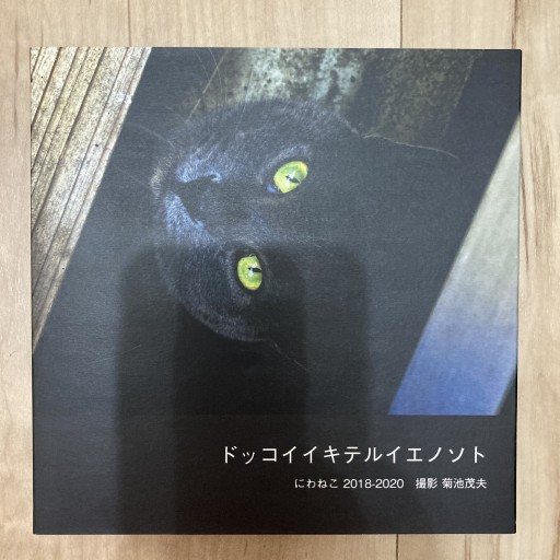 ドッコイイキテルイエノソト にわねこ 2018-2020 撮影菊池茂夫 - トマト1号 '25.12.4
