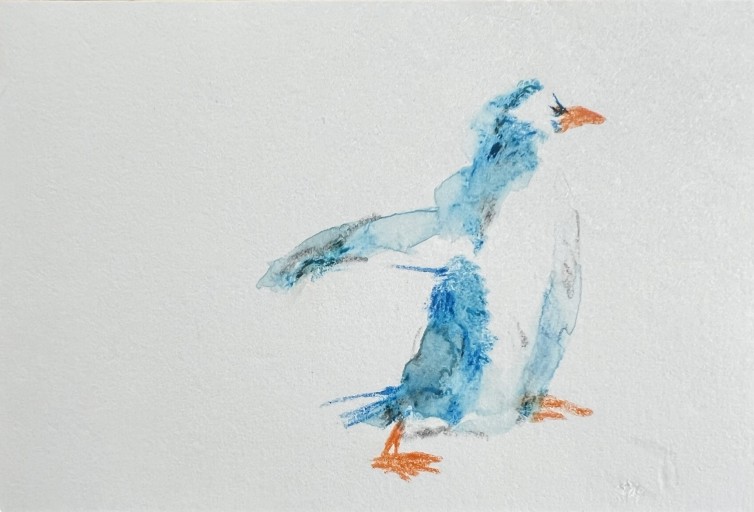 ポストカード penguin - fuminw