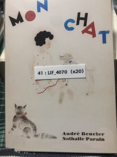 41：LIF_4070 私のネコ - 岸リューリSOLIDA書店