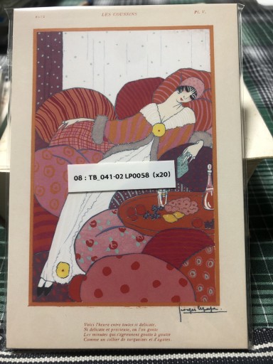 08：TB-041-02 LP0058 ルパップ クッション - 岸リューリSOLIDA書店