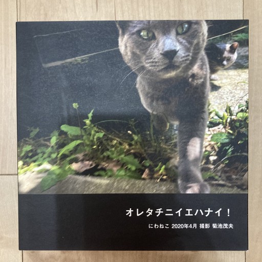 オレタチニイエハナイ！にわねこ 2020年4月 撮影菊池茂夫 - トマト1号 '25.12.4