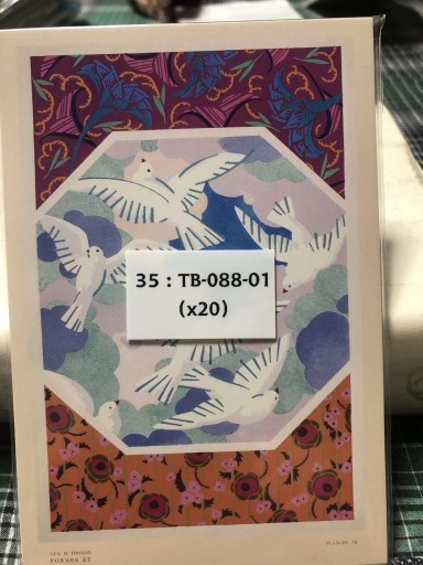 35:TB-088-01 トマ フォルム - 岸リューリSOLIDA書店