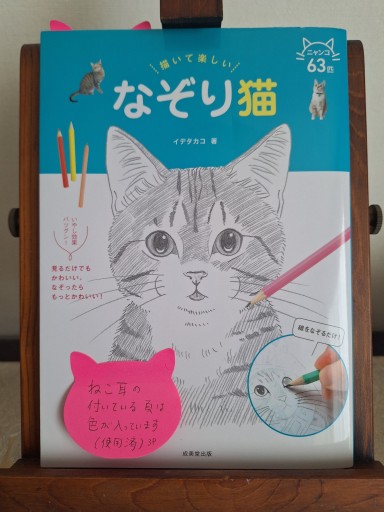 描いて楽しい なぞり猫 - SUGA Yuri