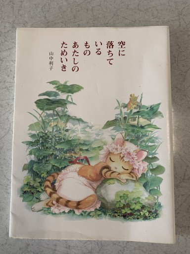 空に落ちているものあたしのためいき - つんどく