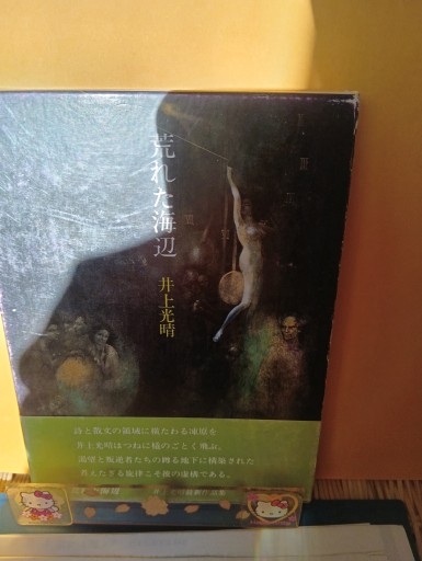 荒れた海辺 - Big-books