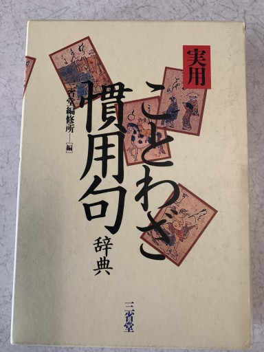 実用ことわざ慣用句辞典 - つんどく