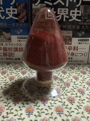 ベンガラ イカ瓶付き - 大宮 理