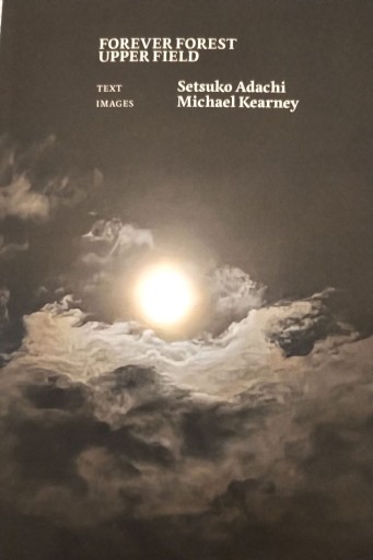 Forever Forest Upper Field by Setsuko Adachi - 中村たまら