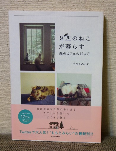 9匹の猫が暮らす 森のカフェの12ヵ月 - つるばら堂