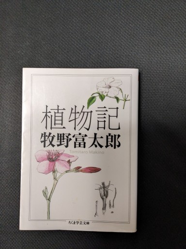 植物記 - xronotop（クロノトープ）