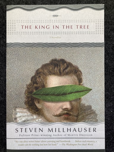 The King in the Tree（Vintage Contemporaries） - ヤイロ書店