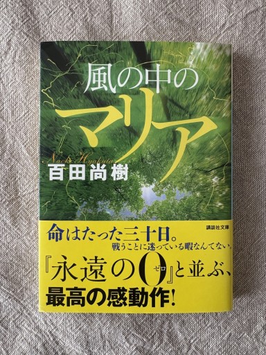 風の中のマリア（講談社文庫 ひ 43-3） - Mon Moelleux