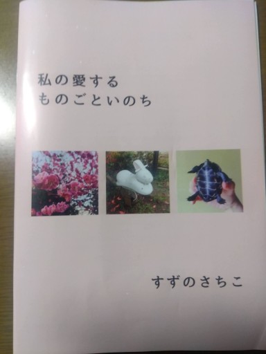 すずのさちこ『私の愛するものごといのち』 - 鳥の事務所