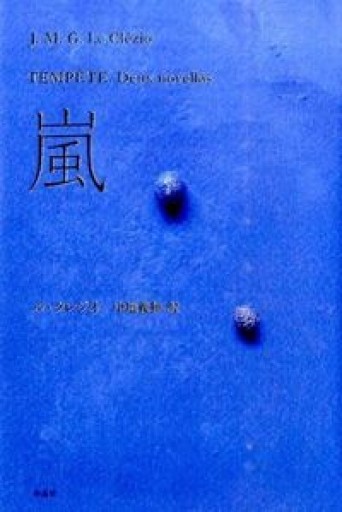 嵐 - books and days 西崎憲