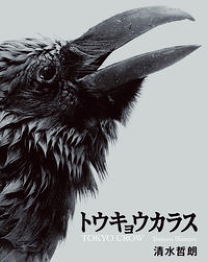 トウキョウカラス - 夜鷹文庫（よるたかぶんこ）